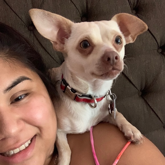 Meet your Posher, Amayrani - Picture 1 of 1